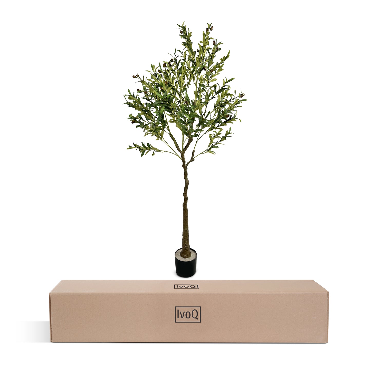 IvoQ Kunst Olijfboom 120 cm-IvoQ