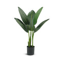 IvoQ Strelitzia Kunstplant 80 cm-IvoQ