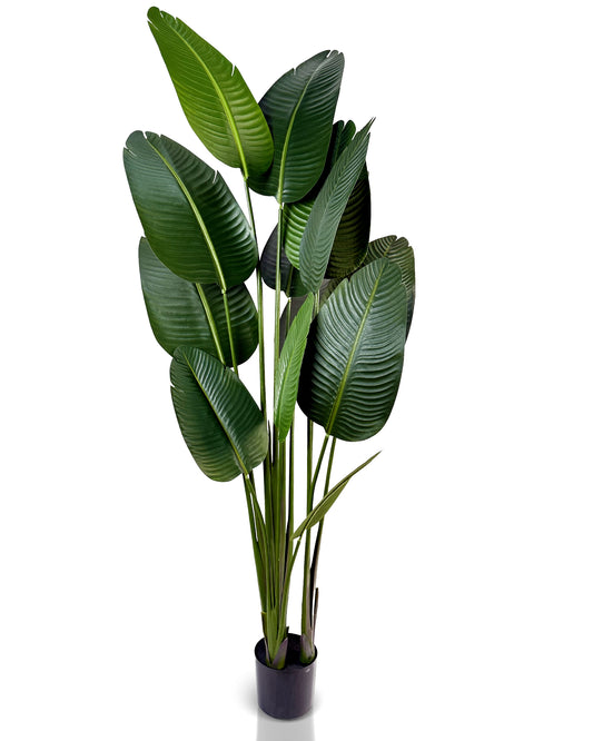 IvoQ Strelitzia Kunstplant 180 cm-IvoQ