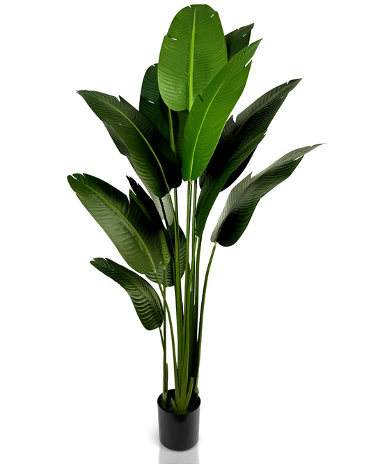 IvoQ Strelitzia Kunstplant 210 cm-IvoQ
