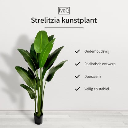 IvoQ Strelitzia Kunstplant 210 cm-IvoQ