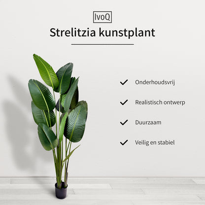 IvoQ Strelitzia Kunstplant 180 cm-IvoQ