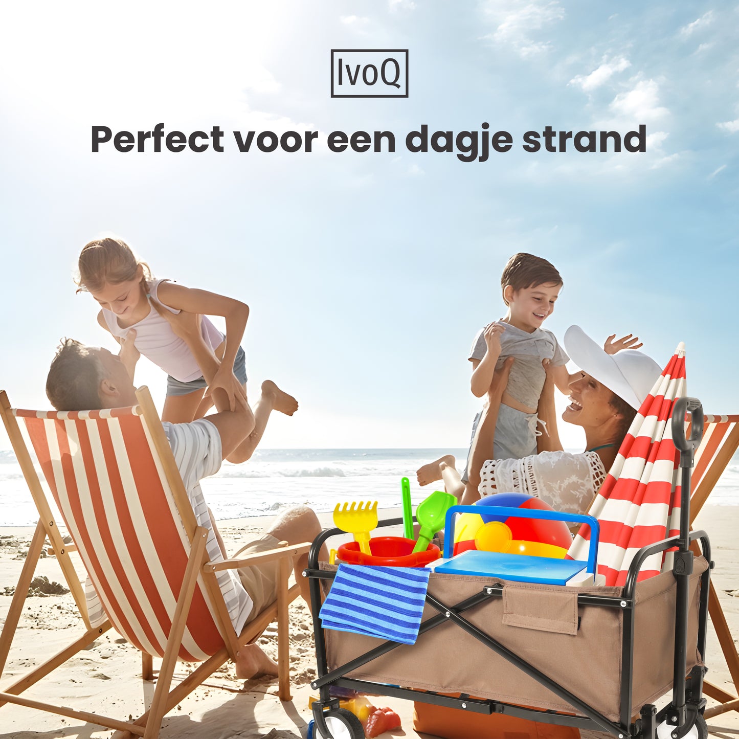 IvoQ Bolderkar Bruin-IvoQ