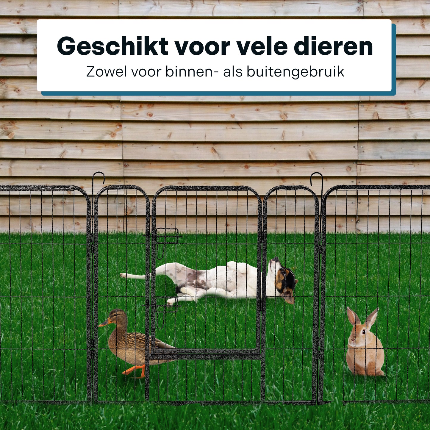 IvoQ XXL Puppyren 16 Panelen (80x80 cm)