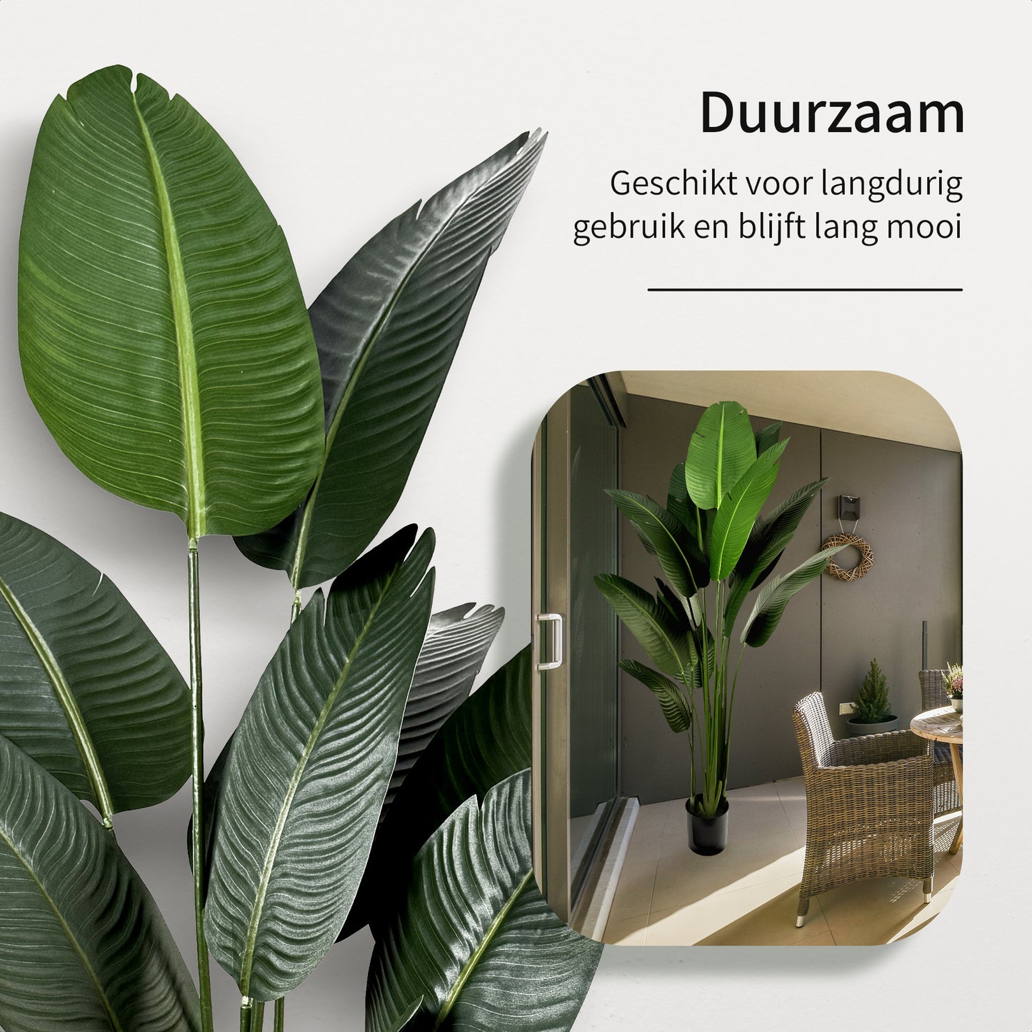 IvoQ Strelitzia Kunstplant 210 cm-IvoQ