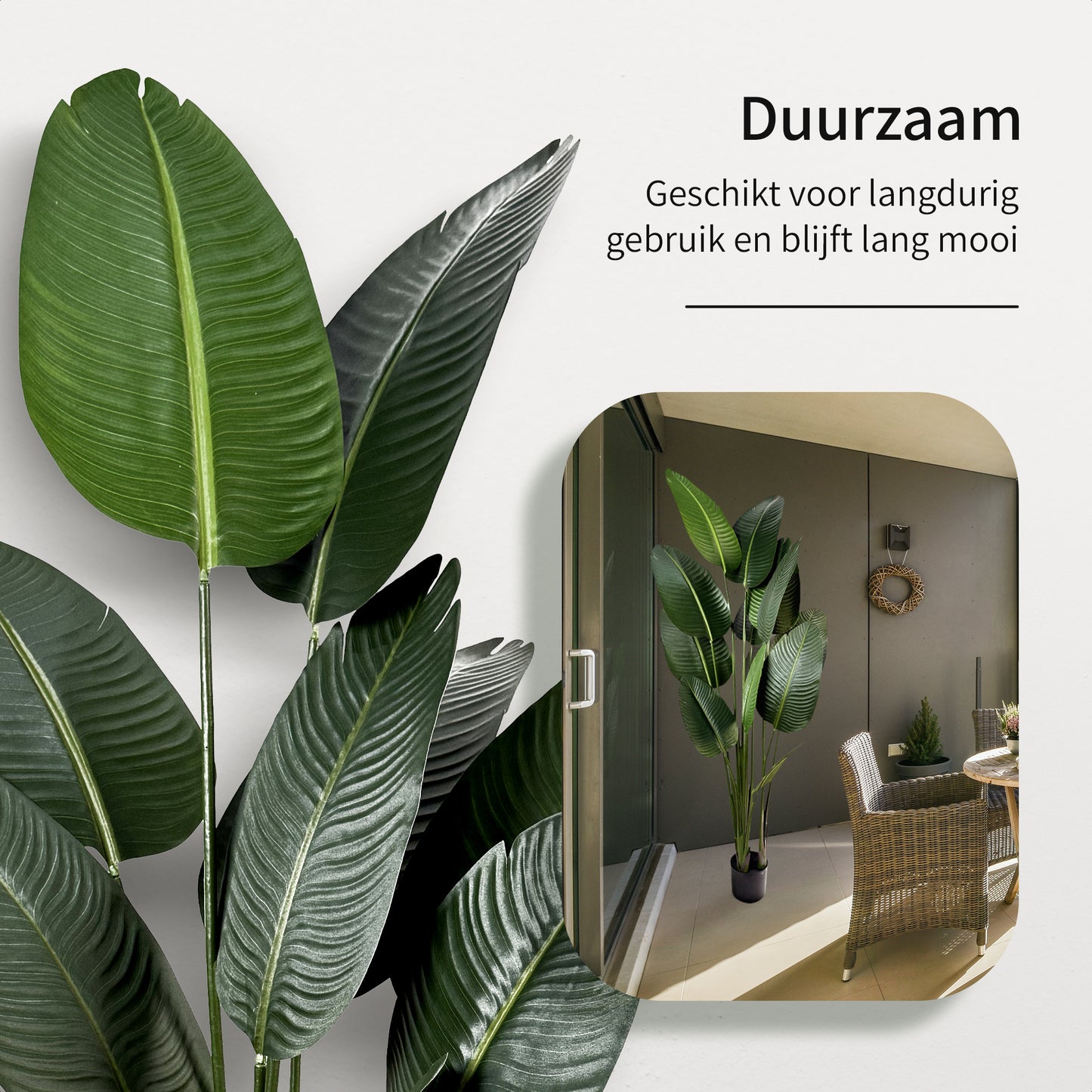 IvoQ Strelitzia Kunstplant 180 cm-IvoQ