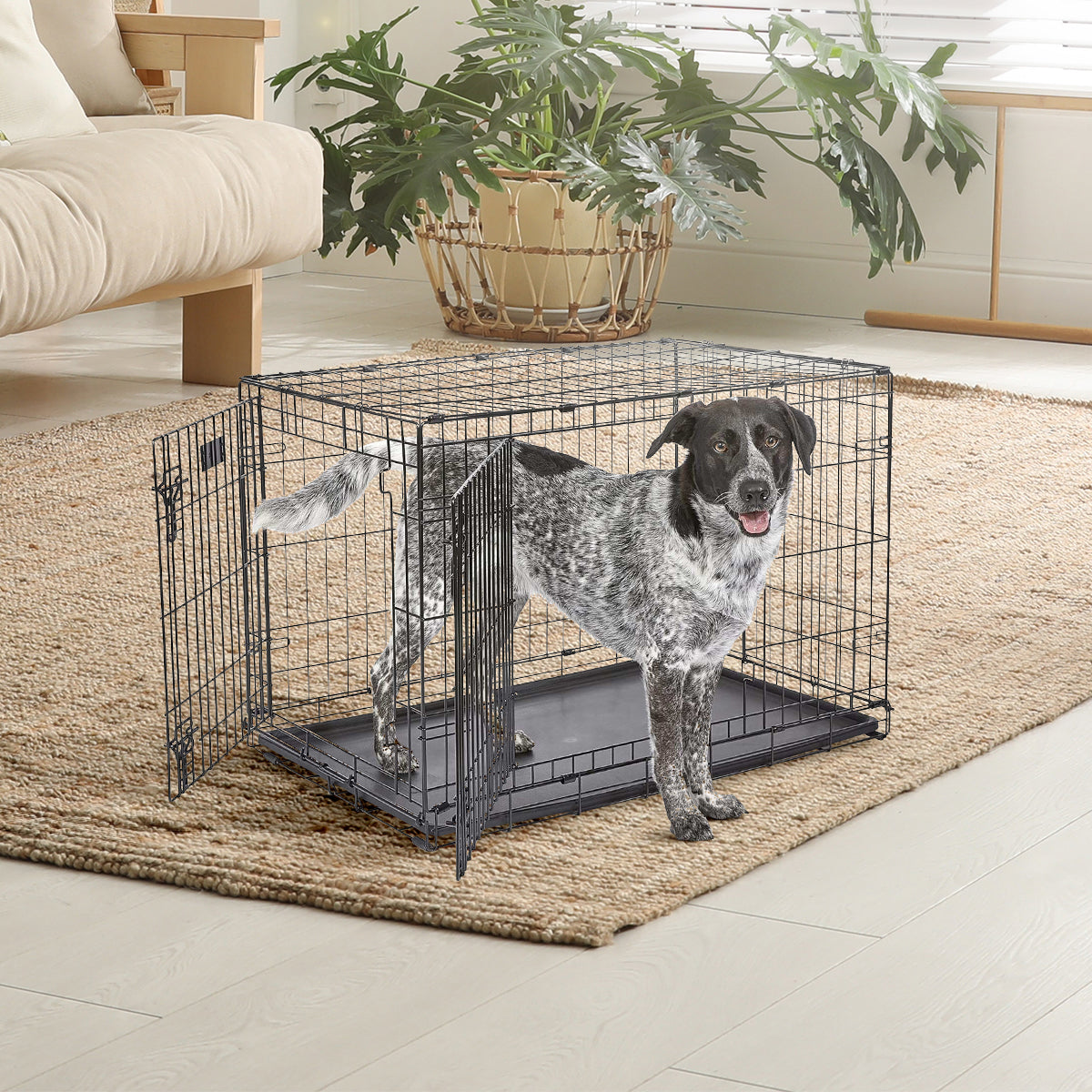 IvoQ Hondenbench S – Zwart – 60×43×49.5 cm-IvoQ