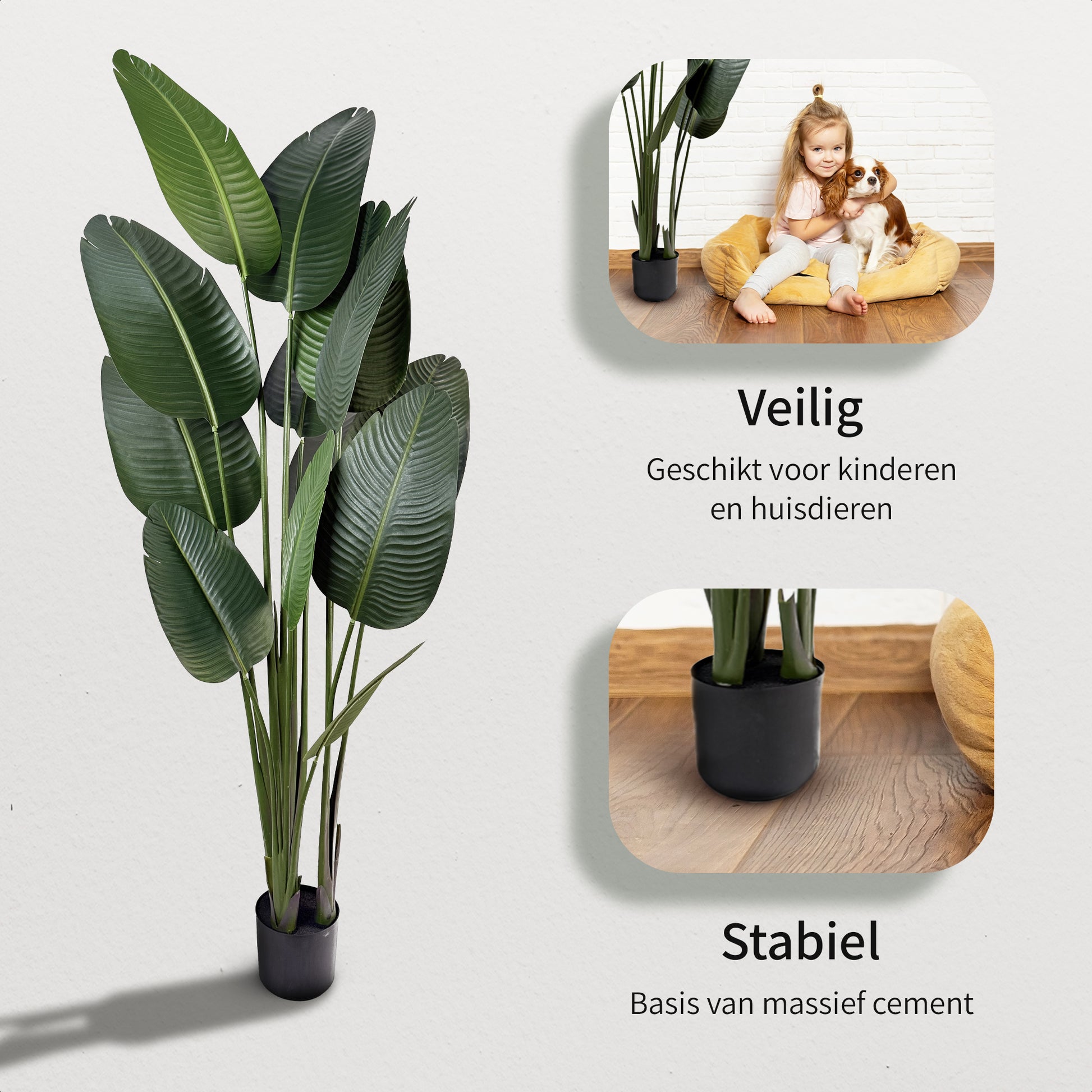 IvoQ Strelitzia Kunstplant 180 cm-IvoQ