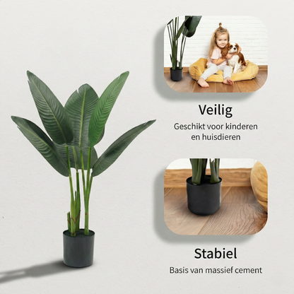 IvoQ Strelitzia Kunstplant 80 cm