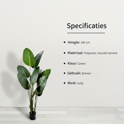 IvoQ Strelitzia Kunstplant 160 cm