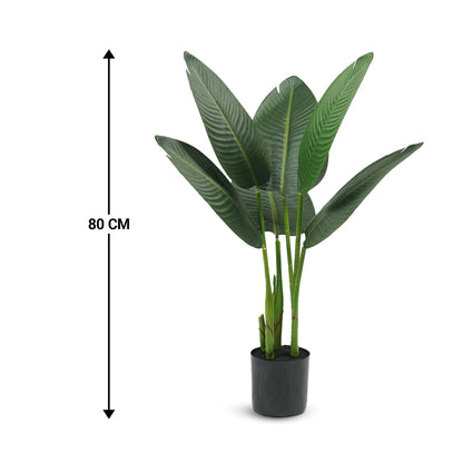 IvoQ Strelitzia Kunstplant 80 cm-IvoQ