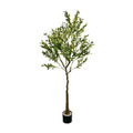 IvoQ Kunst Olijfboom 120 cm-IvoQ
