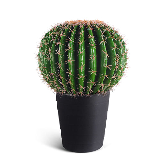 IvoQ Kunst Cactus 50 cm-IvoQ
