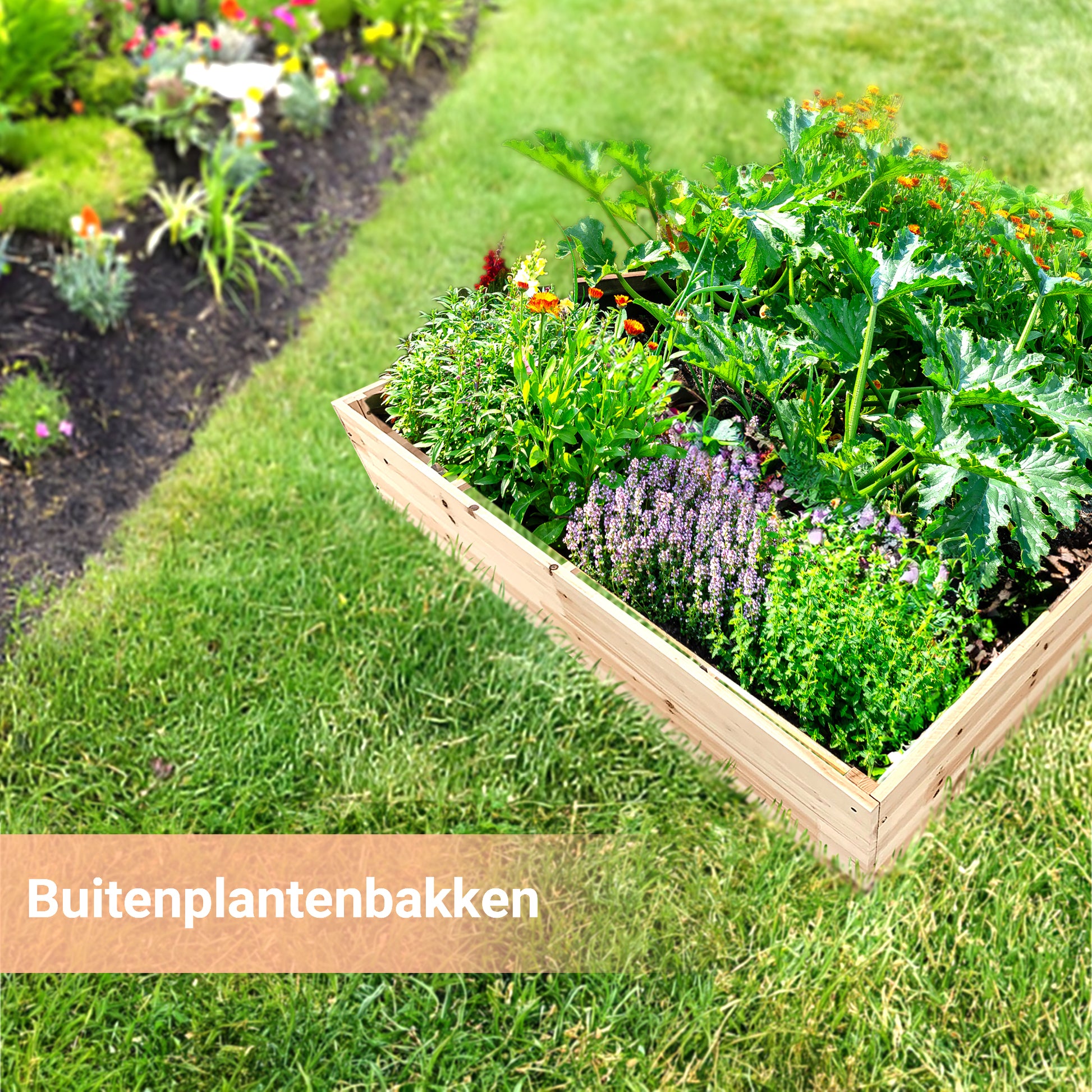 IvoQ Houten Moestuinbak 100 x 100 cm-IvoQ