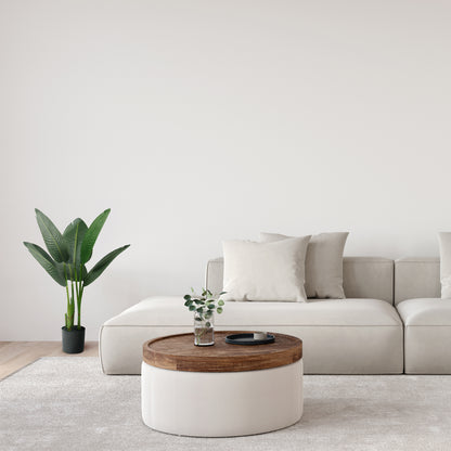 IvoQ Strelitzia Kunstplant 80 cm-IvoQ