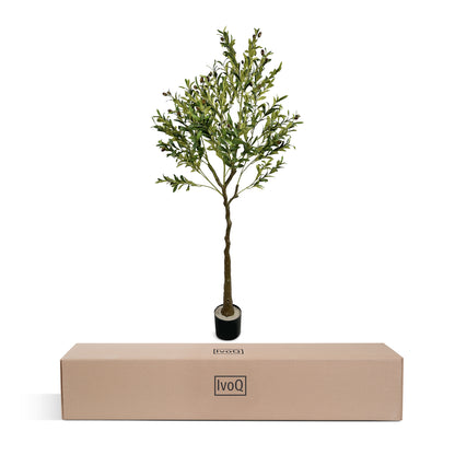 IvoQ Kunst Olijfboom 120 cm-IvoQ